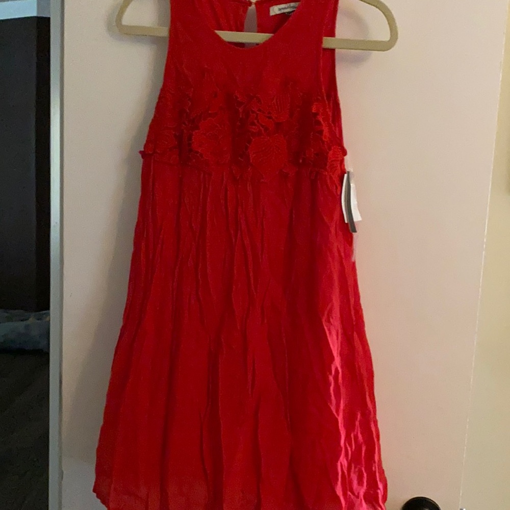 NWT - Speechless Dress